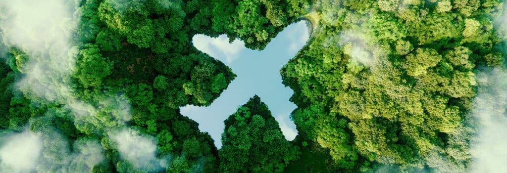 Una radura a forma di aereo in mezzo a una foresta, vista dall'alto
